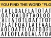 Almost No One Can Spot The Right Word. Can You?
