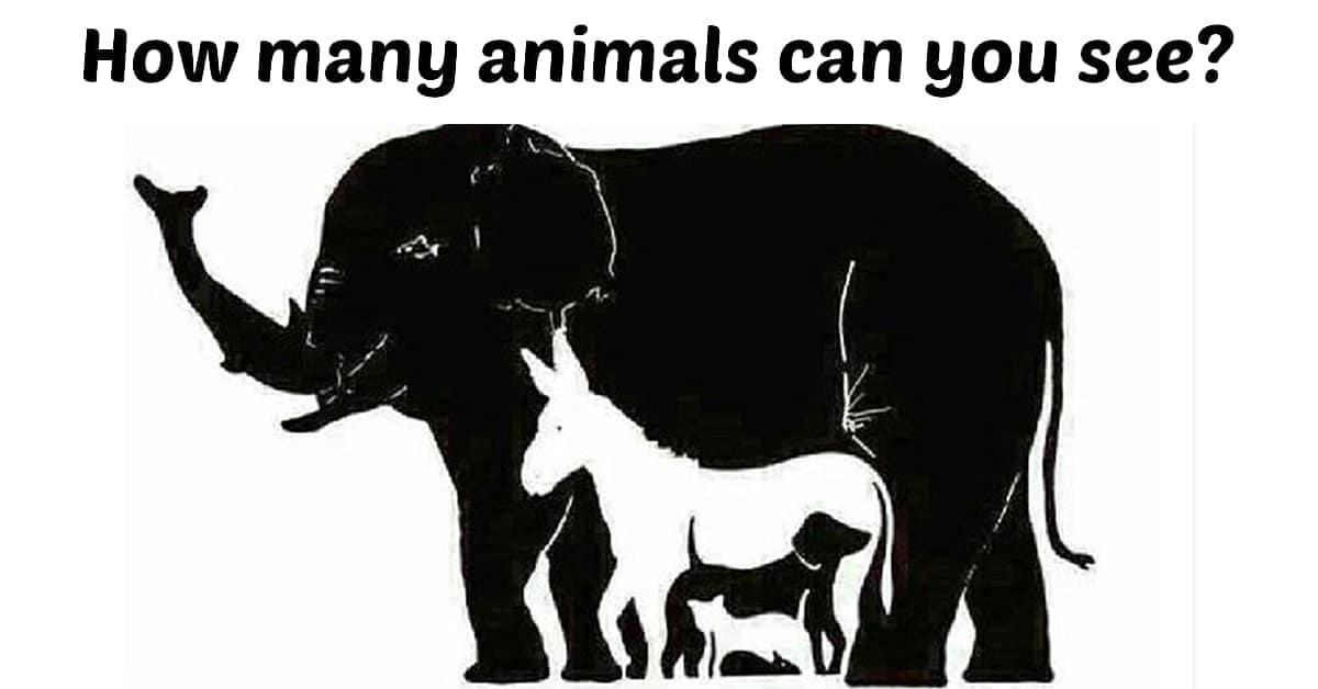 Only a few get it right – but how many animals can you see in this picture?