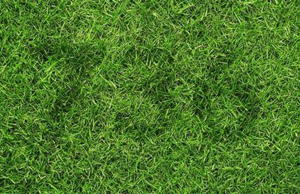 Only 5 Out Of 100 People Can Solve These 3 Complex Riddles