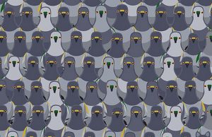 Spot the Cat amongst the Pigeons.