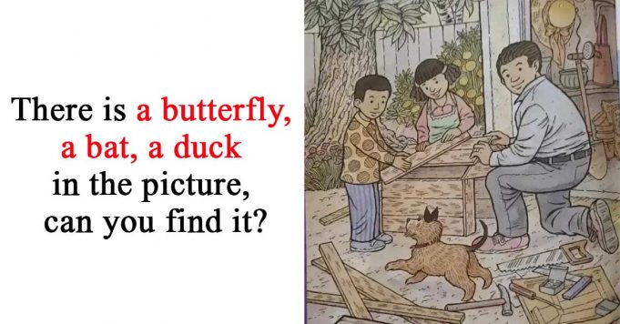 Find Bat Duck Butterfly.