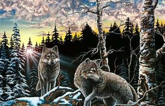 Try to find 15 WOLVES in this picture!