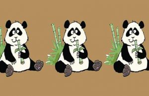 Can You Find The Odd One?