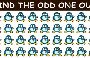 Can You Find All Of The Odd Penguin Out In 50 Seconds?