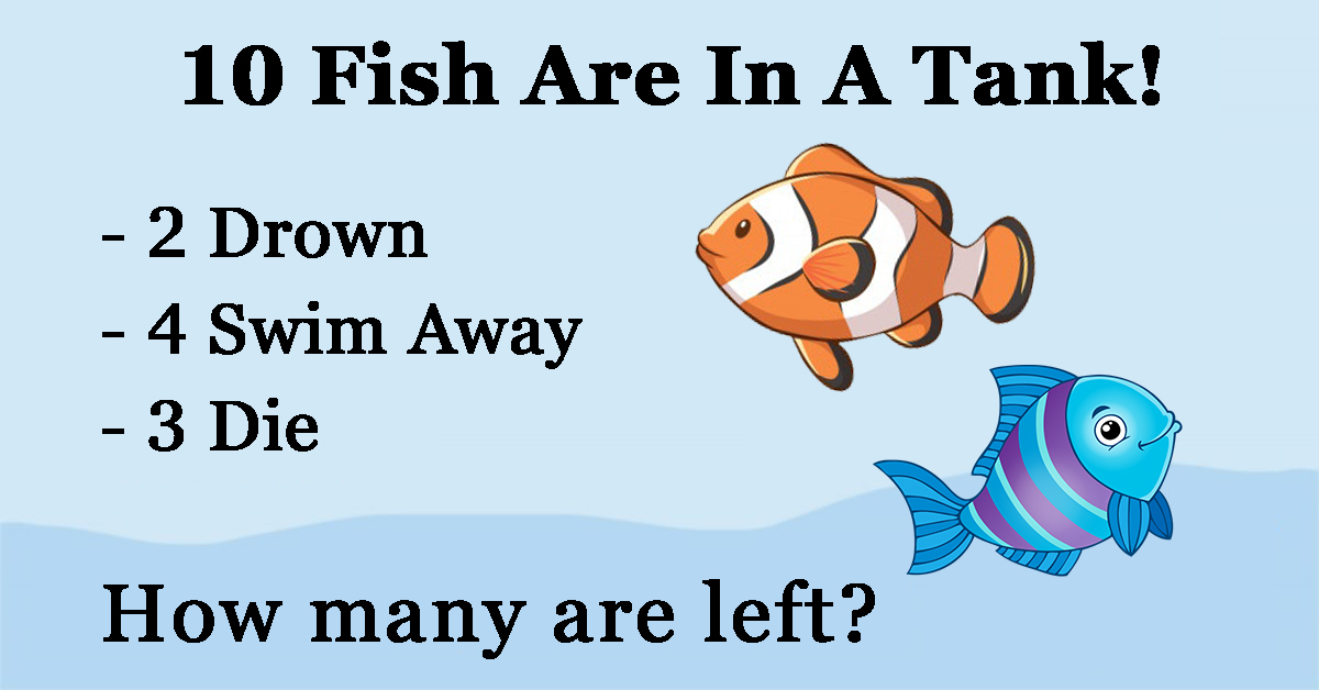 Can You Solve This Fish Math Riddle In 60 Seconds?