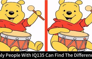 Can YOU Find The Difference In Just 10 Seconds?