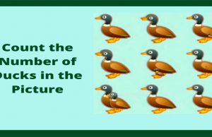 How Many Ducks Are There In This Picture?