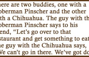 This is my seeing-eye-dog.