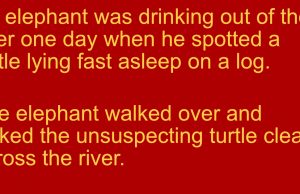 An Elephant Never Forgets