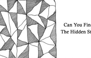 The Lost Star: Can You Spot The Hidden Star?