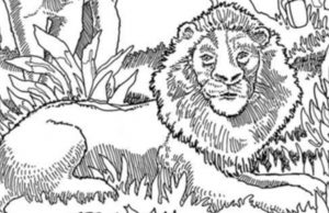 Find a Clothespin, a Spatula and a Witch’s Hat.