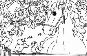 Can You Find Duck, Rabbit, Spoon, and Cupcake?