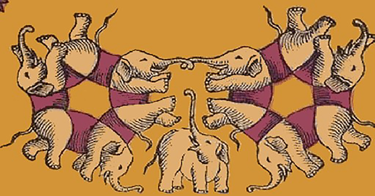 How Many Elephants Do You See?