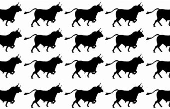Find The Different Bull