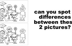 can you spot 5 differences between these 2 pictures?