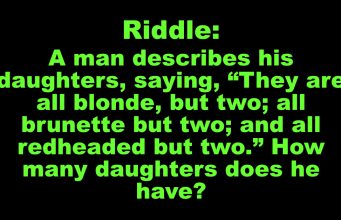Riddle: A man describes his daughters
