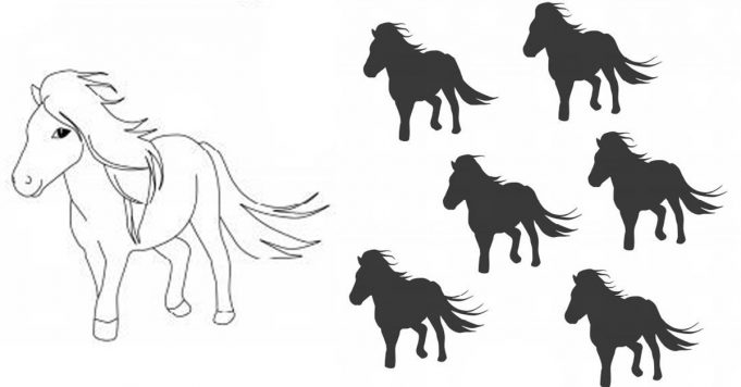 Shadow puzzle – Which shadow belongs to the pony?