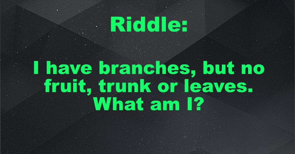 I have branches, but no fruit, trunk or leaves. What am I?