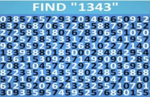 Eye Test: Find 1343 in less than 30 seconds, can you?