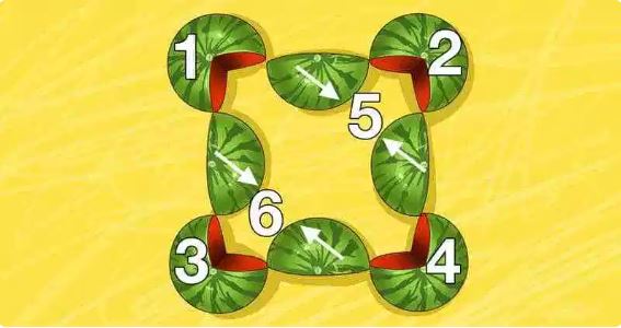 How Many Watermelons Can You See? All you need to answer