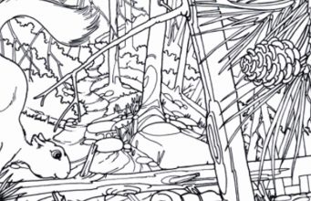 Find the 6 hidden objects.