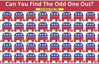 Lockdown Challenge: How Quickly Can You Find the Odd One Out in This Puzzle?