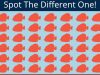Find The Different Fish.