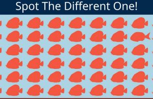 Find The Different Fish.