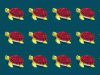 Can You Spot The Odd Turtle In Less Than 10 Seconds?