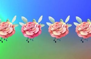 Test Your Color Vision With These Quizzes.