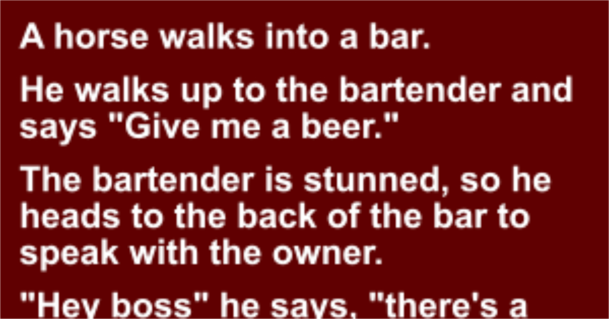 A horse walks into a bar