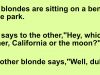 Blonde series: Two blondes are sitting on a bench at the park.