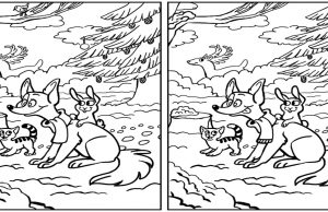 Can You Find 10 Differences in This Picture?