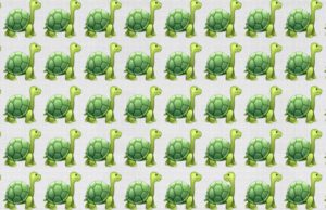 Only People With Almost Perfect Vision Can Pass This Tricky Visual Test!