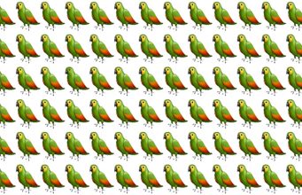 Only People With Almost Perfect Vision Can Spot The Odd Bird One Out