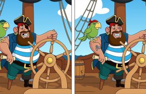 Find The Difference In 90 Seconds!