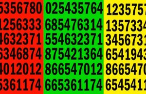 Can You Find The Number 79?