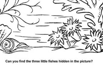Can You Find The Three Little Fishes?