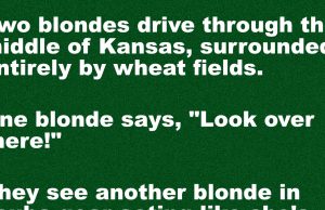 Two blondes drive through the middle of Kansas