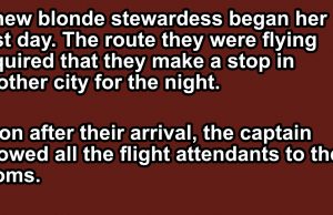 The New Blonde Stewardess