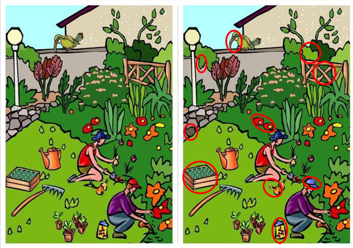 Picture difference. Spot the difference. Spot 5 differences. Find differences 4-5 лет. Spot 10 differences.