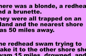 a blonde, a redhead, and a brunette were all trapped on an island a blonde, a redhead, and a brunette were all trapped on an island
