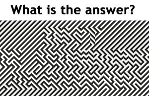 Eyeball Bending Puzzle: I Bet You Can’t See It!