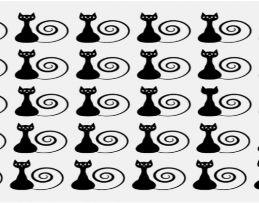 One Cat is different from the others cat. Can you find this Odd Cat Out?