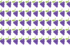 Can you spot the odd one out in all stages of this visual test?