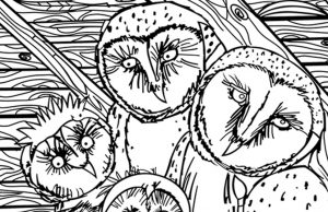 Hidden Picture: Barn Owls.