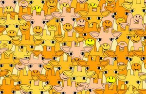 Can YOU spot the yoda hidden among these cute giraffes?