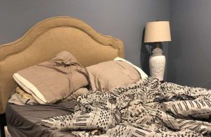 Only a few get it right – but can you find the dog in this photo?