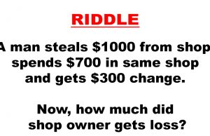 How Much Did Shop Owner Gets Loss?