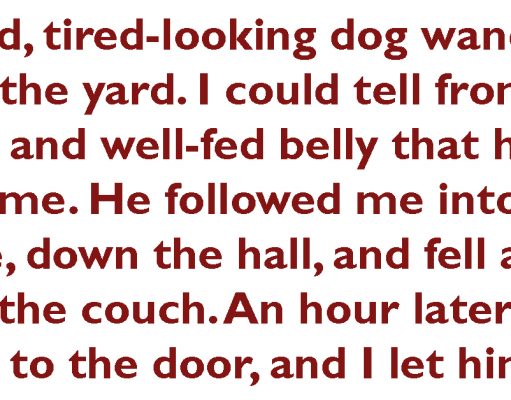 Woman Finds Funny Note Attached to Dog’s Collar